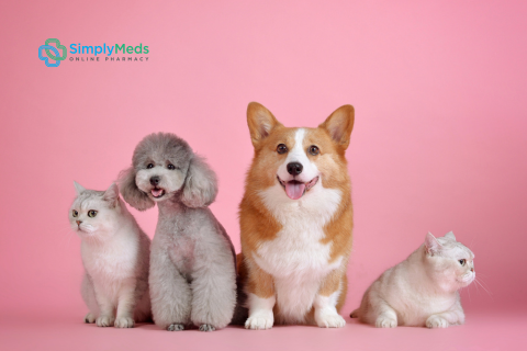 National Pet Month - Promoting Healthy Happy Pets