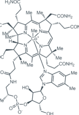 Hinnao Molecular Image